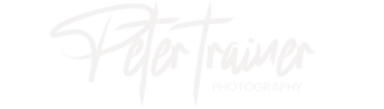 light logo